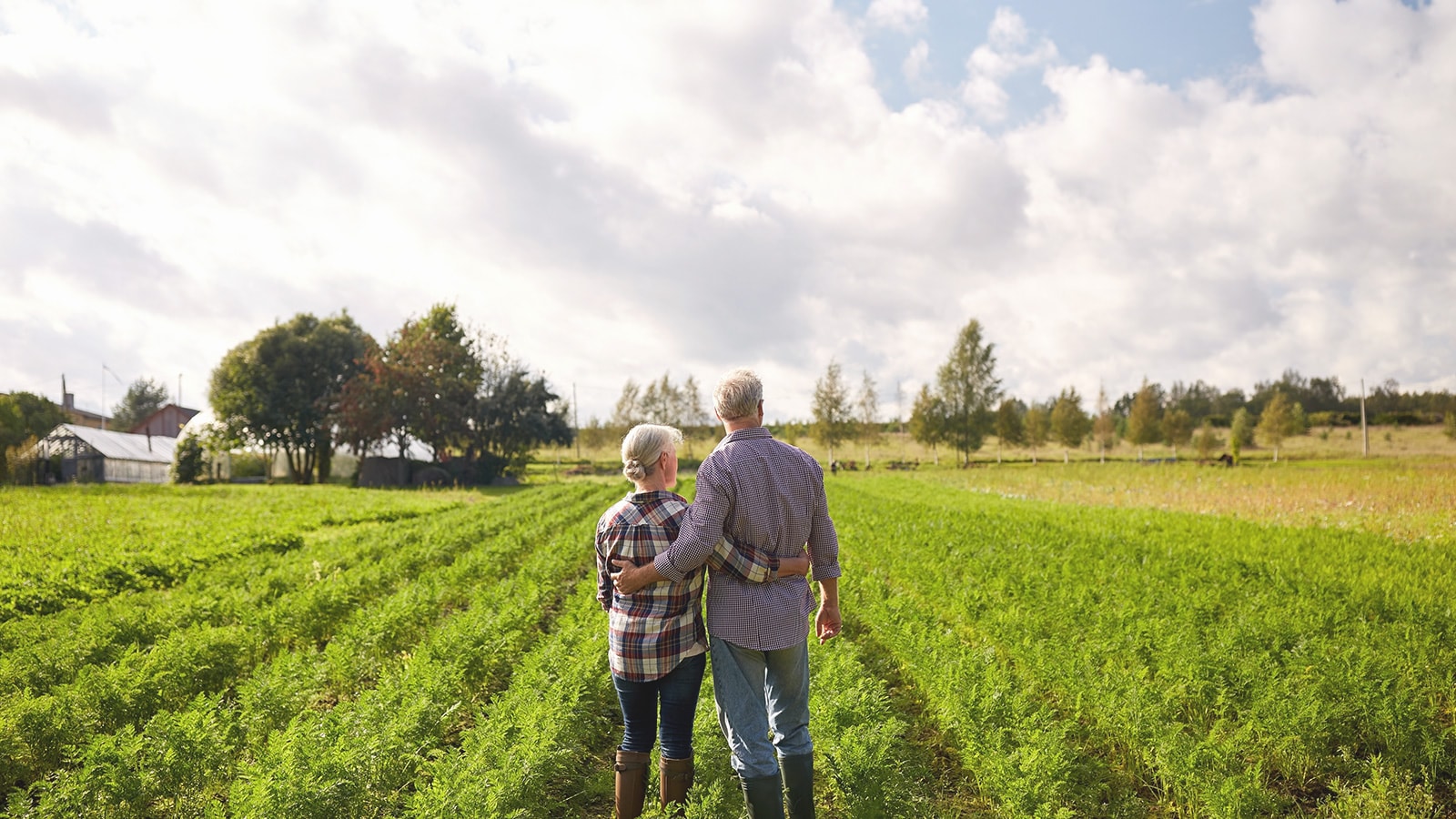 Pension ordning