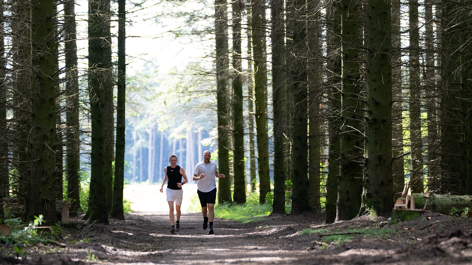 Sparekassen Kronjylland etablerer stort skov- og naturområde